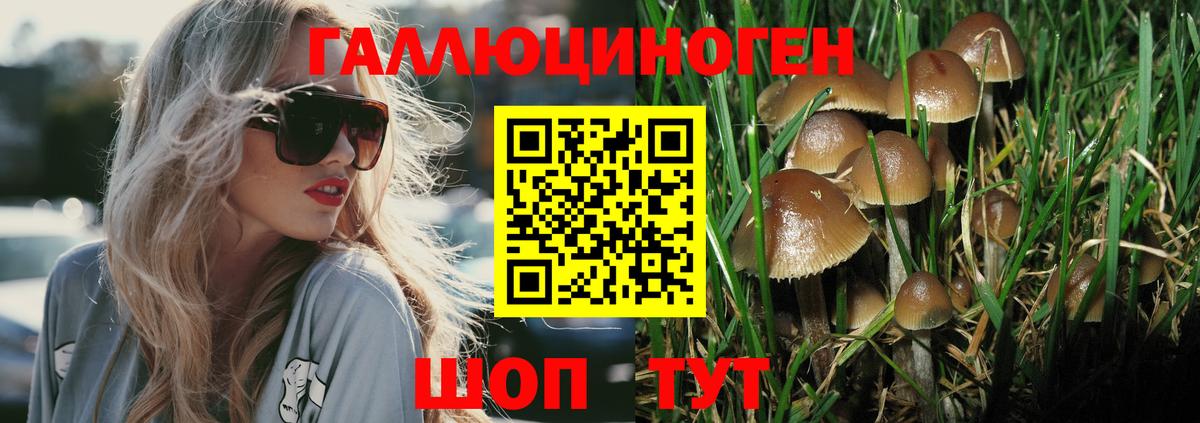 Псилоцибиновые грибы GOLDEN TEACHER Красногорск