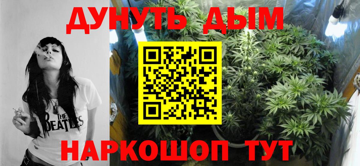 Красногорск  МАРИХУАНА SATIVA & INDICA  Бошки Шишки OG Kush  Вход с VPN 